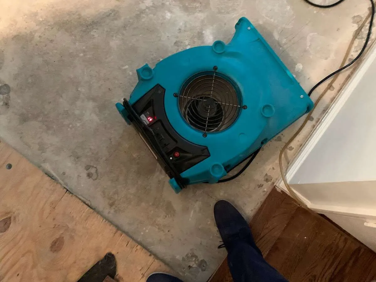 Air mover drying subfloor during Leak Detection & Repair in Epping